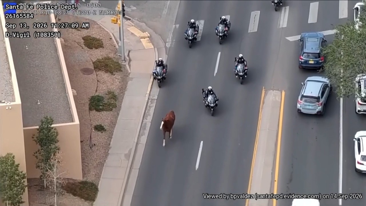 Police Chase Runaway Horse Through Streets Of Santa Fe