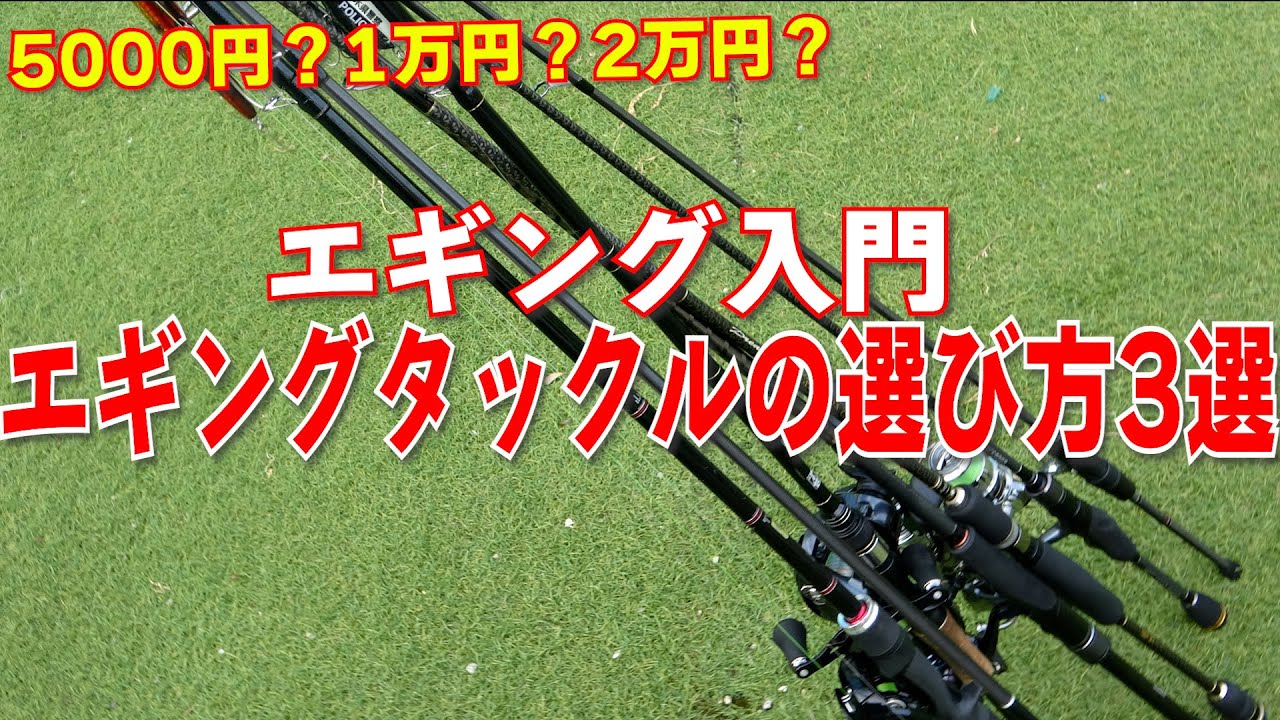エギング入門タックルの選び方3選！1万円でいける？プロが教える最初の 