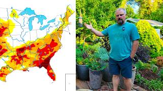 Drought Gardening Tips That Actually Work