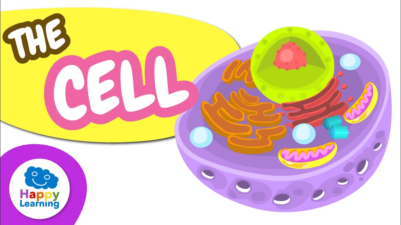 All about THE CELL | Educational Videos for Children | @HappyLearningENG