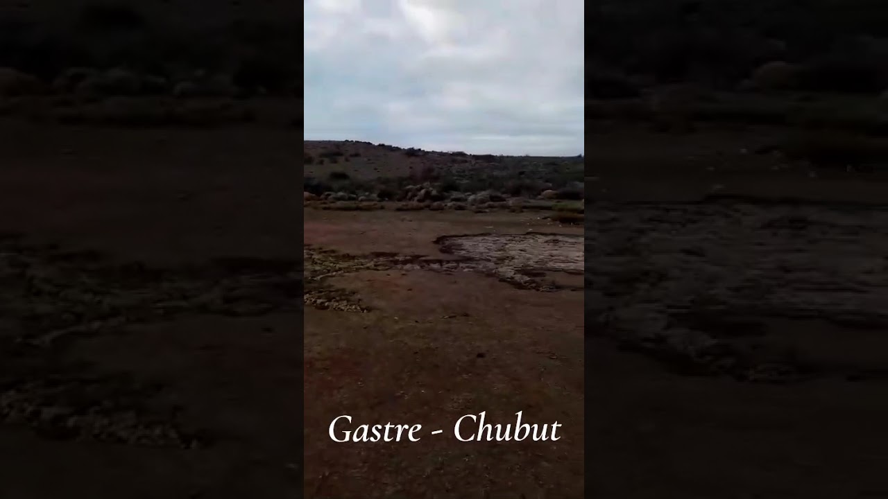 #HUMO SALIENDO DE LA TIERRA en Gastre, Chubut, un fenómeno conocido como incendio subterráneo.