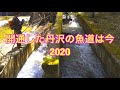 【魚道】丹沢魚道の今  2020