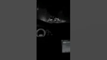 انتي ياليلي الشامي حب وحنان 