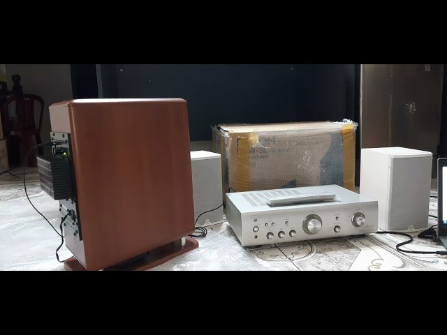 Review loa trầm Denon dsw 3L - YouTube