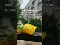 Просто душевно Подписывайтесь ❤️