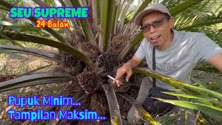 Lewat Seu Supreme Muara Jangga Kalau Begini Mah 14 Oktober 2023