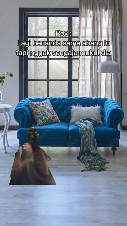 abang berubah menjadi Gojo😱#bananacat #shorts #animasikucing #kucinglucu #kucingindo #fypindonesia