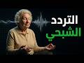 التردد الشبحي لعام 2026 لماذا تسمع نغمات حادة في البيئات الصامتة