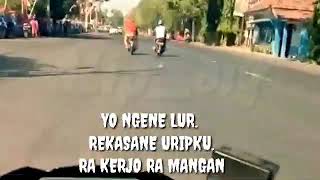Story wa kerja gaes!!