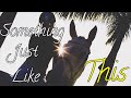 Something Just Like This || Equestrian Chill Music Video ||