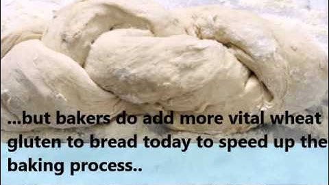 Are grains really making us fat and sick?