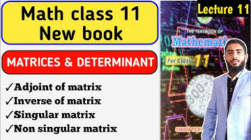 Matrices & Determinant - Adjoint Of Square Matrix - Inverse Of A Matrix - Singular Matrix chapter 2