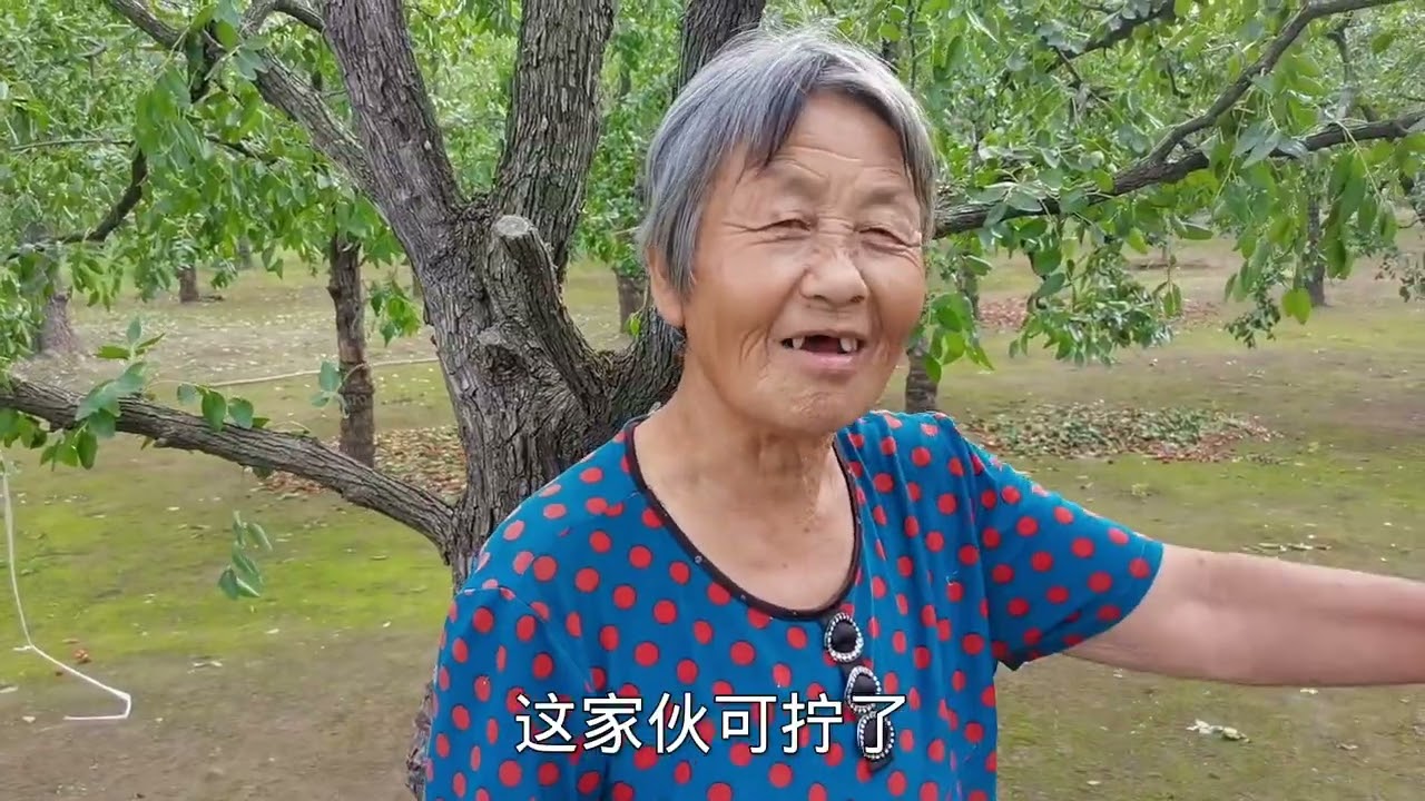 70岁爷奶在地里做了什么？50岁儿媳笑岔气，这画面让人不得不笑啊