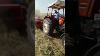Saman makinası- Hay machine - ماكينة القش - ماشین یونجه - آلة القش التلقائي