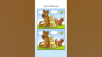 Find 5 Differences!!! #challenge #puzzle #game #shortvideo #shorts