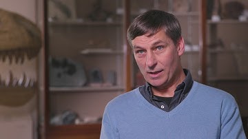 Smithsonian Digitization: Impact of Digitizing Paleobiology Collections