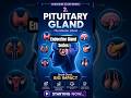 ENDOCRINE GLAND SERIES 2 PITUITARY GLAND–The Master Gland Explained in 60 Seconds!#osssc#nursingexam