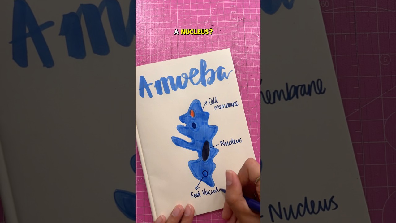 How many of these questions about unicellular organisms will you get right?