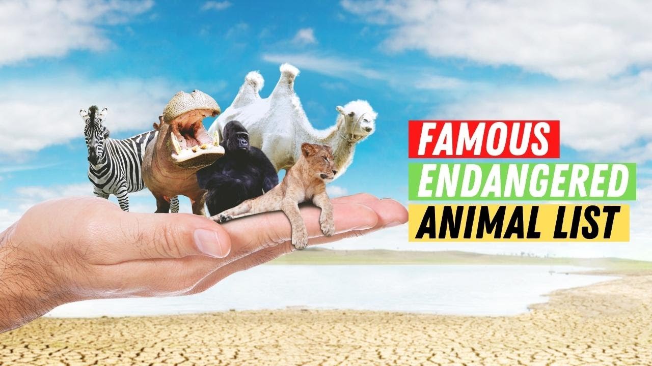 Most Famous Endangered Animals in the World in 2023