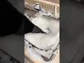 #Asmr #cleaning 🫧 by fortheloveroflather on TT🐳