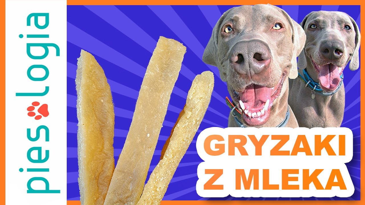 Jak zrobić gryzaki z mleka?