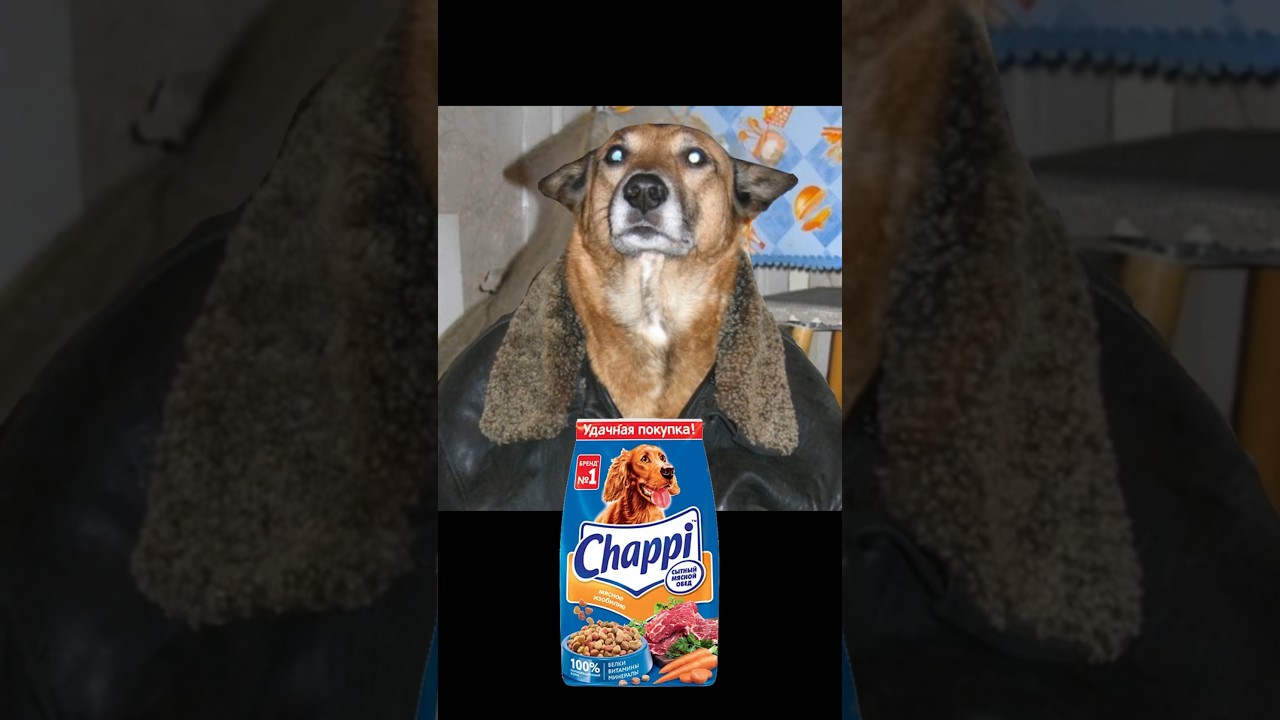 Иногда приходится 