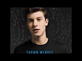 Shawn mendes  stitches