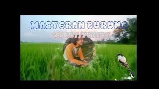 FULL ISIAN MEWAH MASTERAN BURUNG CENDET PENTET 1JAM TANPA IKLAN