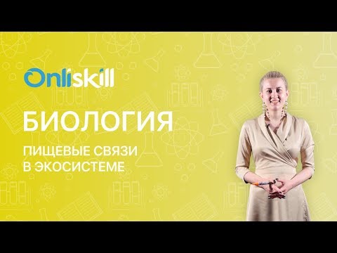 БИОЛОГИЯ 7 класс : Пищевые связи в экосистеме | Видеоурок