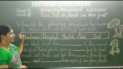 AP & TS CLASS IV SCIENCE ASSIGNMENT KEY DAY 12