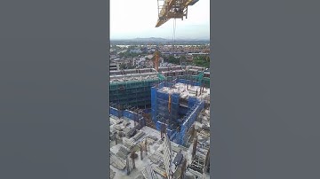 nghề này nó bạc lắm