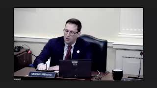 ENT Committee Session, 3/29/2023 #2