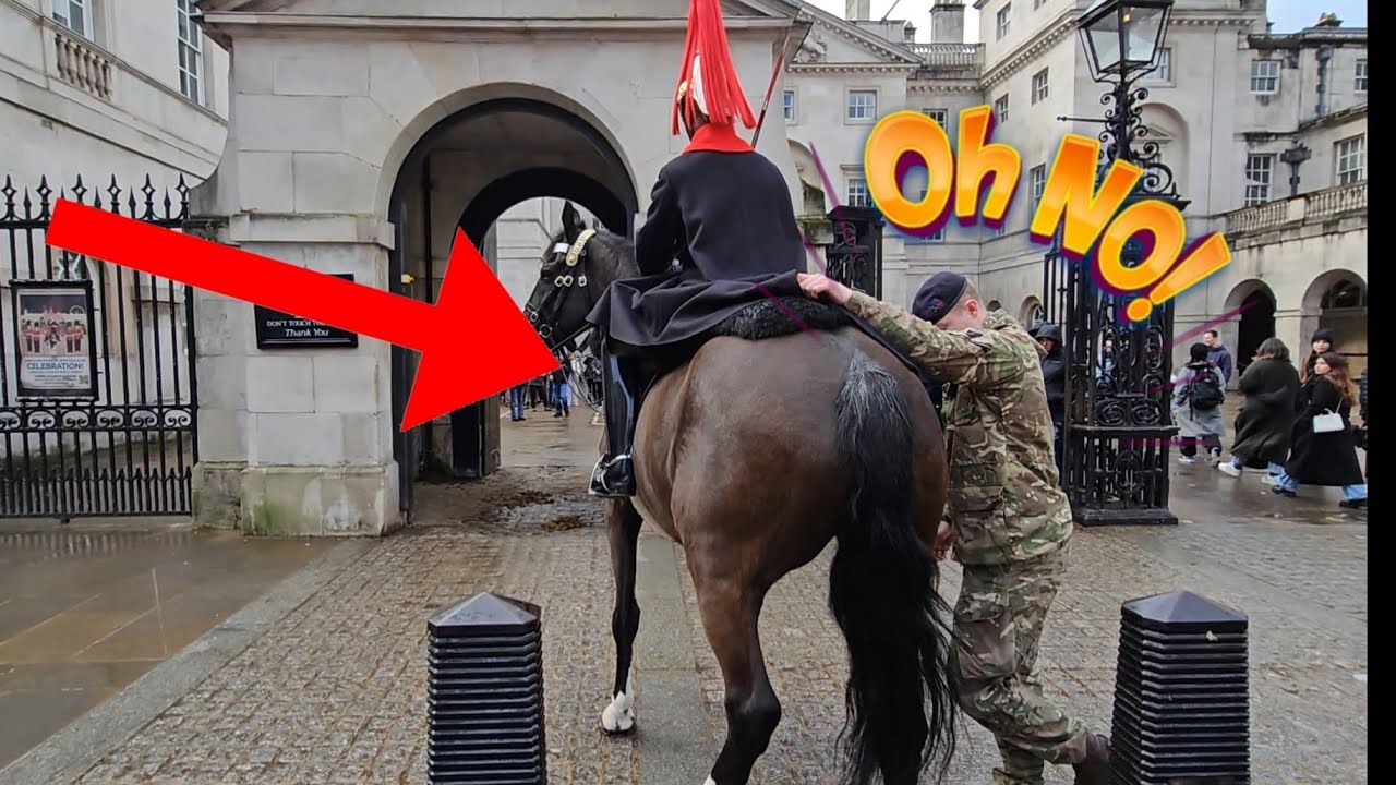 This Is What Happened This Morning! No One Can Stop The Horse😳