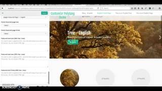 Customizr Pro - Polylang Plugin - Translating Featured Pages
