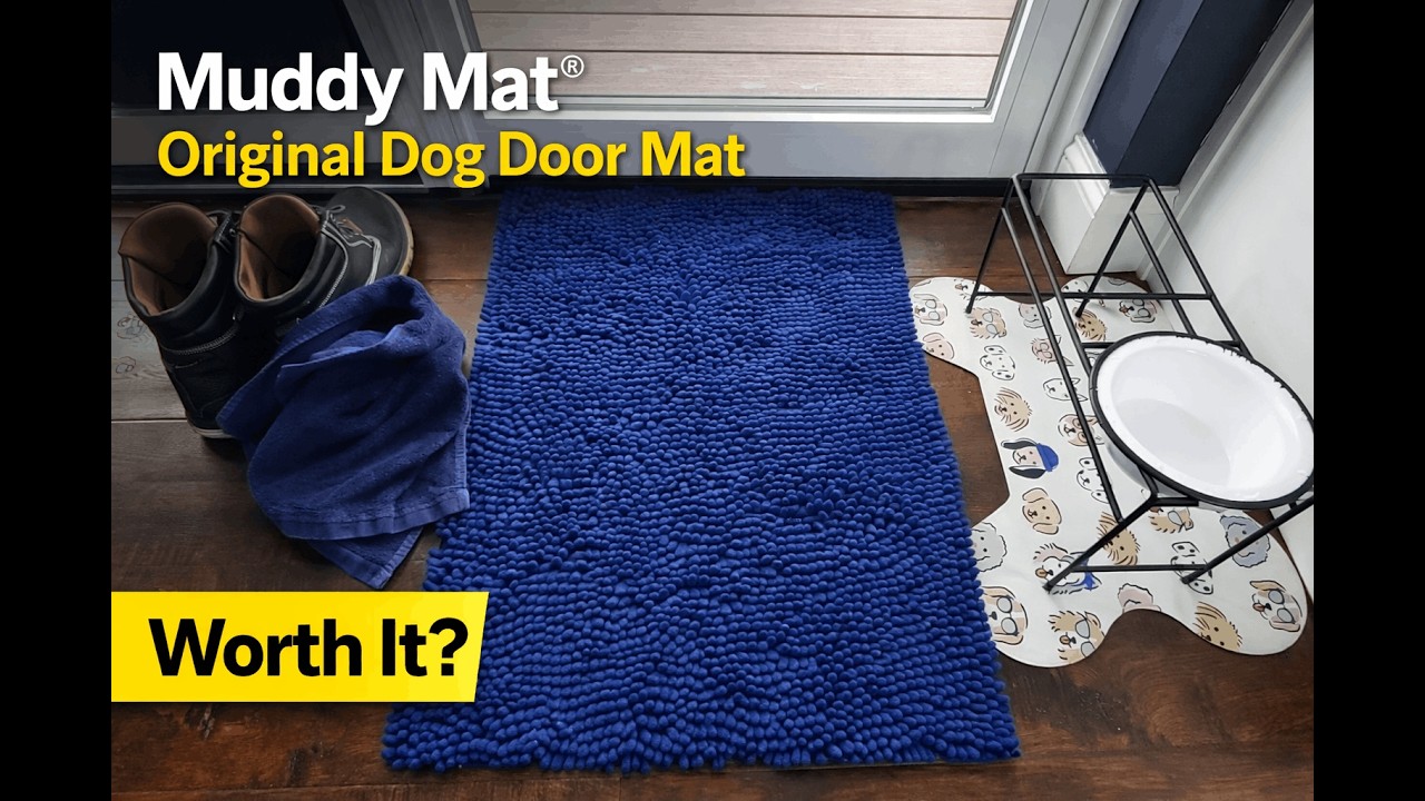 Действительно ли этот коврик способен остановить грязные следы лап? Тестирование супервпитывающег...