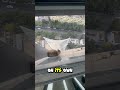 Don't look down! 😱