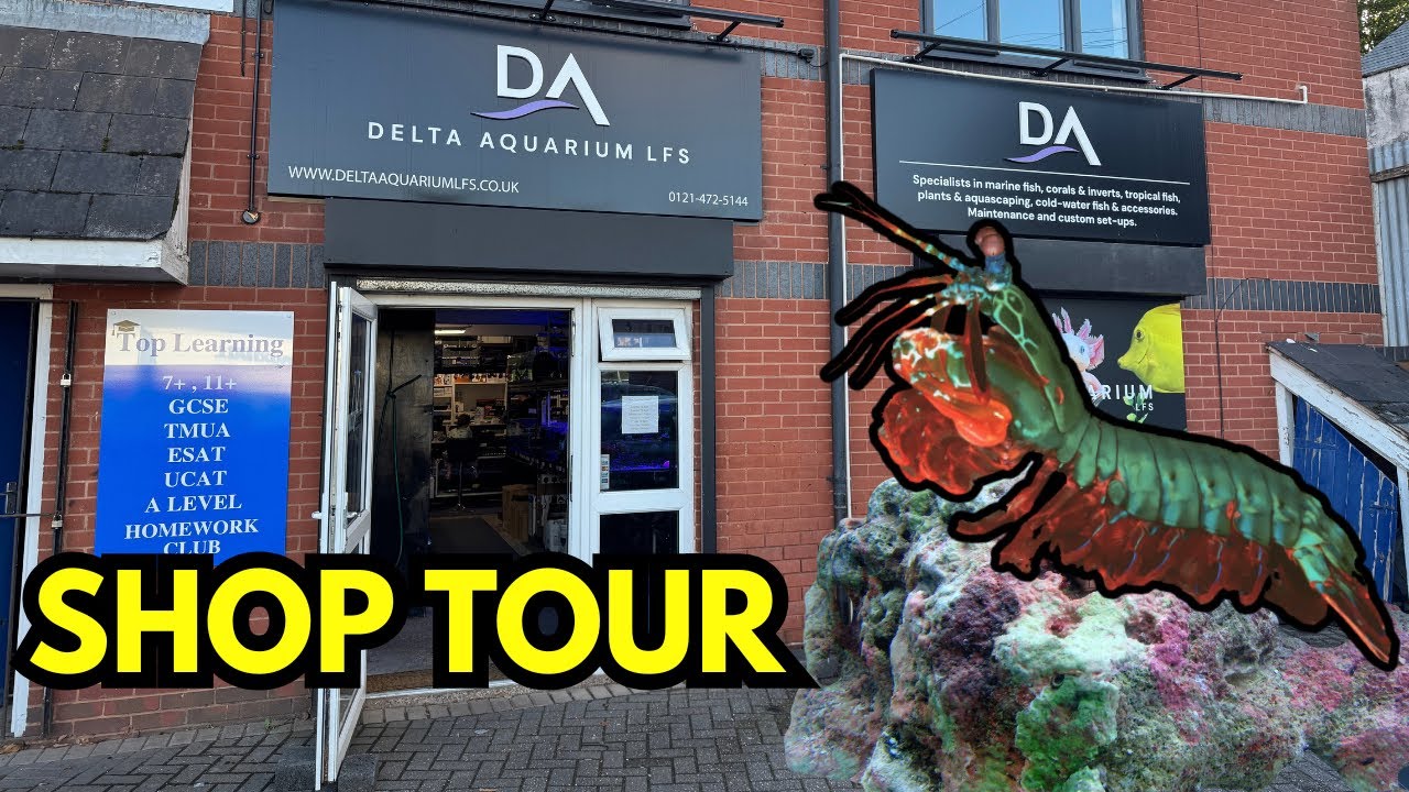 Great Variety In This Little Shop! Delta Aquarium LFS