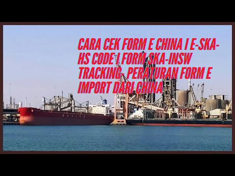 HOW TO CHECK FORM E CHINA-E-SKA-HS CODE-FORM SKA-INSW TRACKING- E-IMPORT FORM REGULATION FROM CHINA