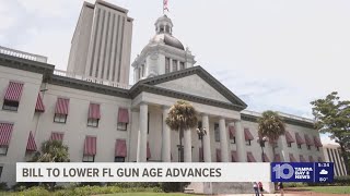 Florida lawmakers push proposal to lower minimum age to buy guns from 21 to 18 Wealth