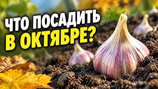 Тринадцать растений, которые вы ОБЯЗАНЫ посадить в октябре: Секрет зимнего урожая для ленивых огоро