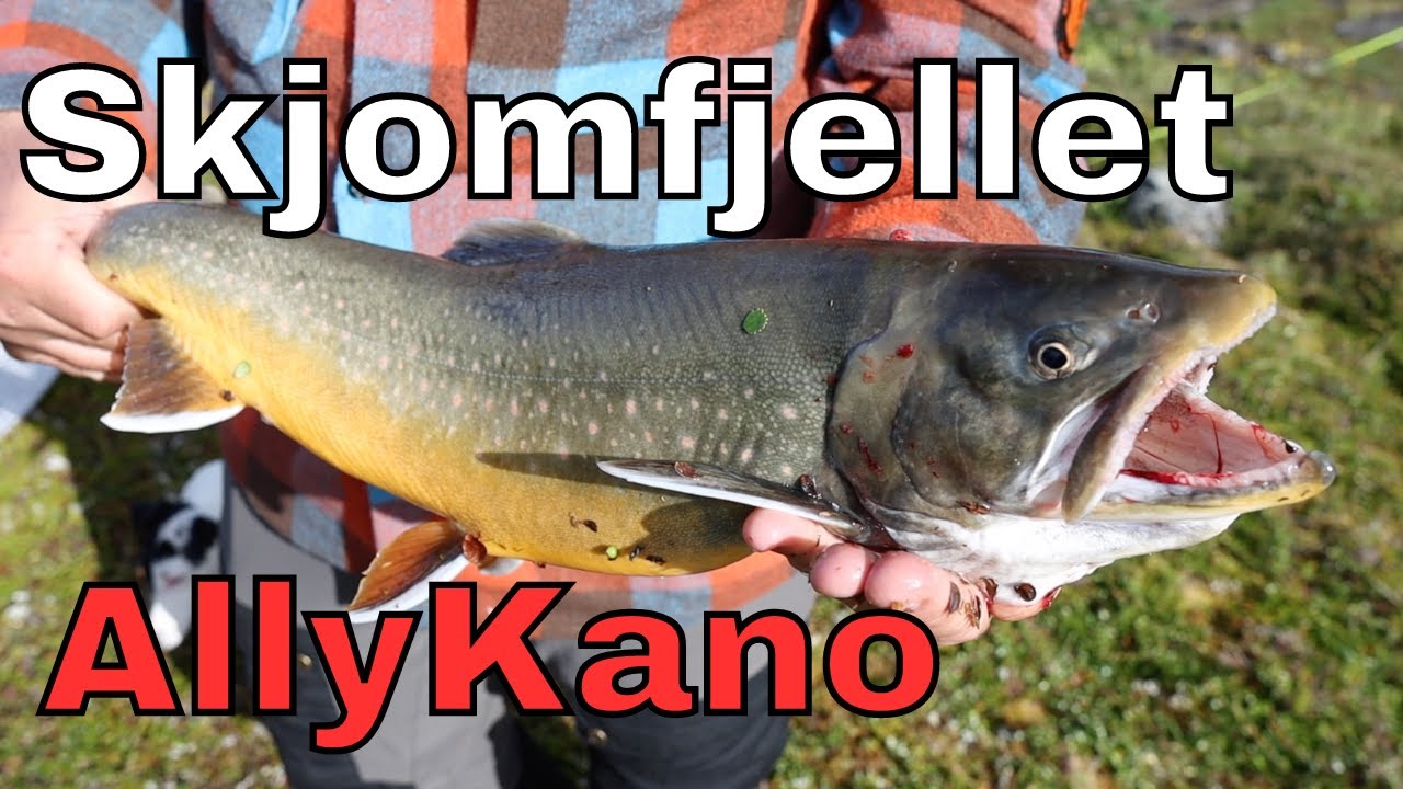 11 dager på Skjomfjellet på svensk side med Ally kano