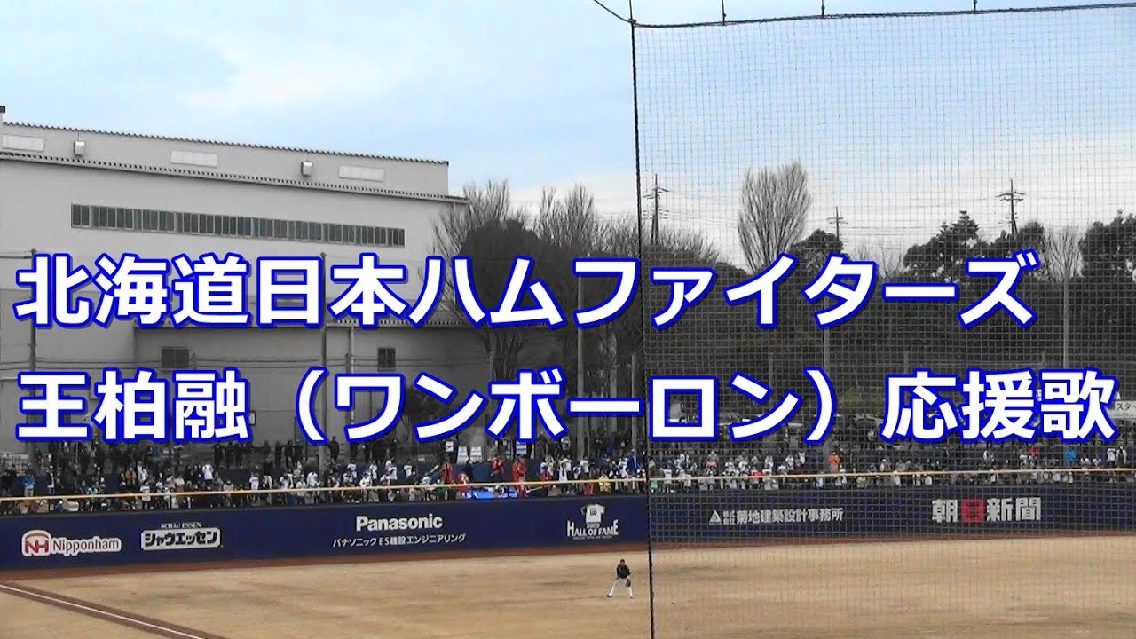 王柏融 ワンボーロン 応援歌 北海道日本ハムファイターズ プロ野球 応援歌集