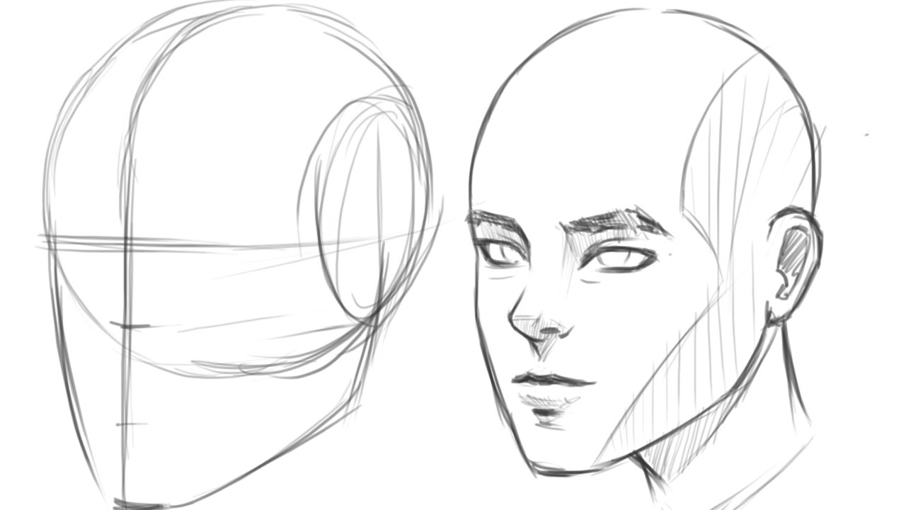 Drawing the Human Head