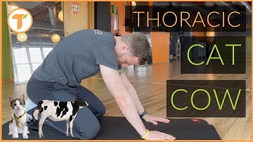 Help Reduce Mid Back Tension with the Thoracic Cat Cow