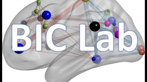 Brain Imaging and Computation Lab, Professor Zhang (2023)