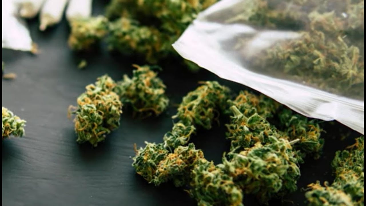 Regular Marijuana Use Might Increase This Human Quality, Study Shows