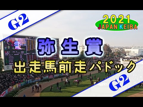 【競馬パドック】弥生賞ディープインパクト記念（2021年）前走パドック