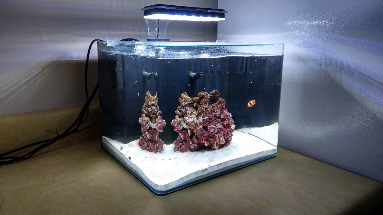 imagitarium 6.8 gallon aquarium
