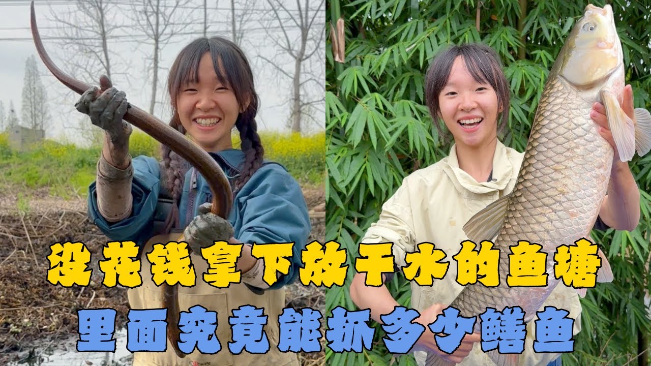 幺妹没花钱拿下放干水的鱼塘，里面究竟能抓多少鳝鱼？