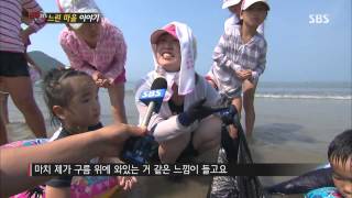 [SBS 현장21] 130813 #8(7)